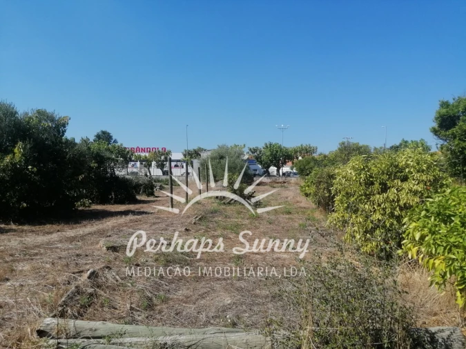 Terreno para Venda em Grândola e Santa Margarida da Serra Foto 10