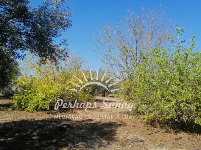 Terreno para Venda em Grândola e Santa Margarida da Serra Foto 13