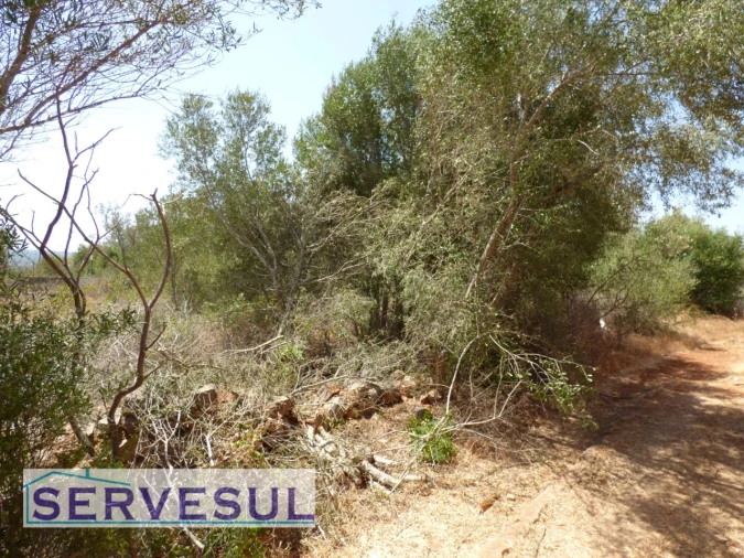 Moradia T3 para Venda em São Bartolomeu de Messines Foto 14