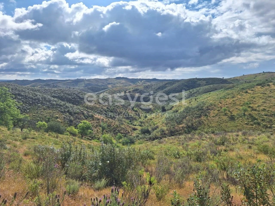 Terreno Agricola ou Rústico para Venda em Castro Marim Foto 2