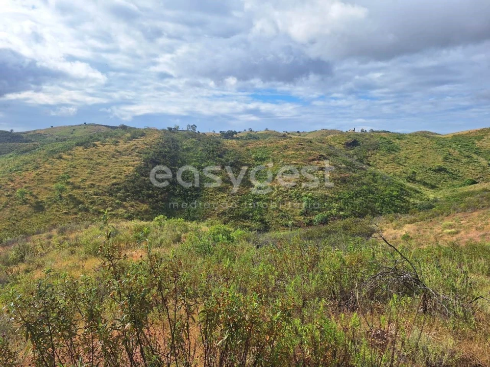 Terreno Agricola ou Rústico para Venda em Castro Marim Foto 4