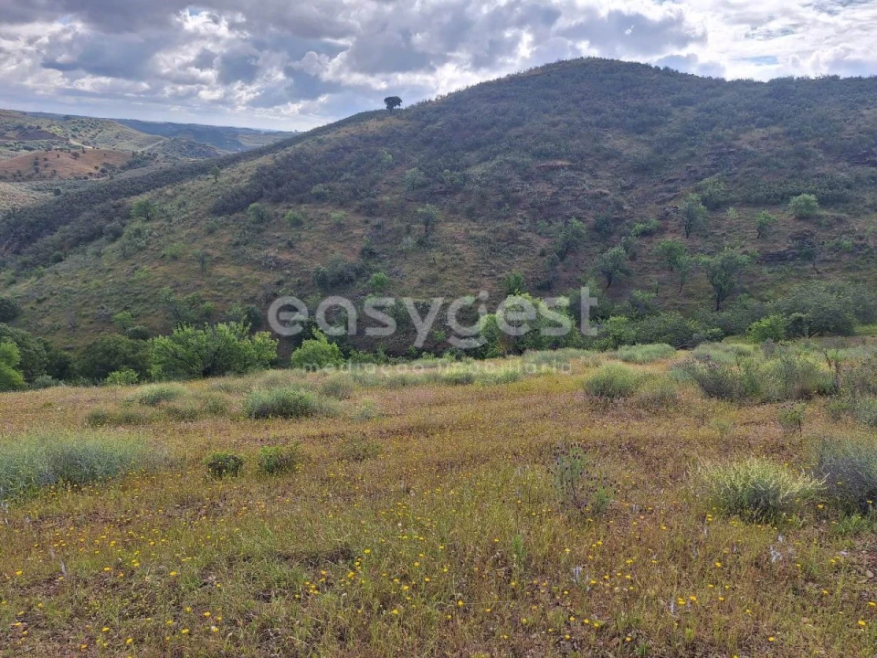 Terreno Agricola ou Rústico para Venda em Castro Marim Foto 11