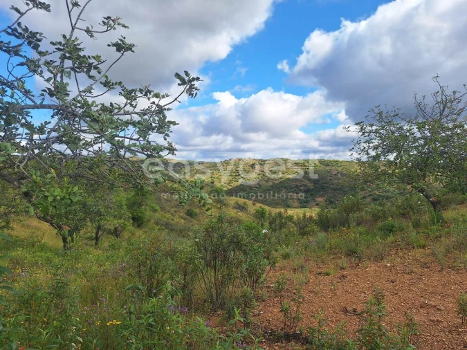 Terreno Agricola ou Rústico para Venda em Castro Marim Foto 1