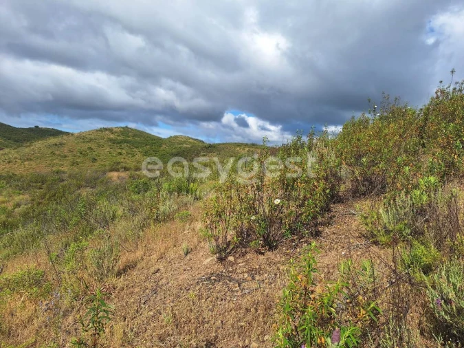 Terreno Agricola ou Rústico para Venda em Castro Marim Foto 3