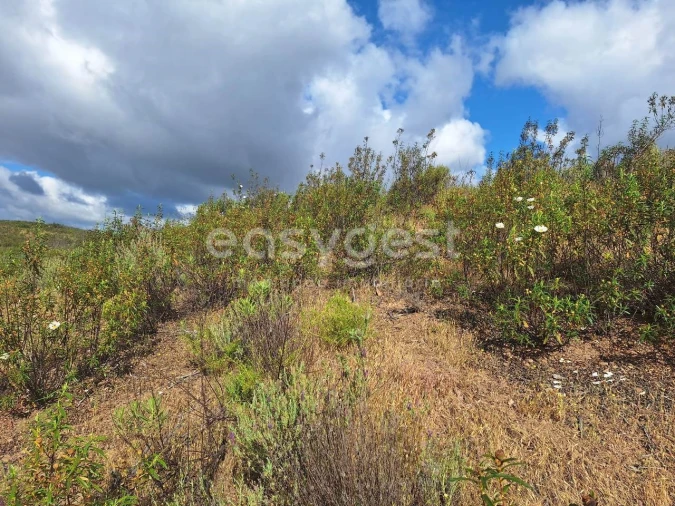 Terreno Agricola ou Rústico para Venda em Castro Marim Foto 5