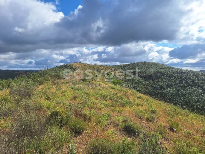 Terreno Agricola ou Rústico para Venda em Castro Marim Foto 7