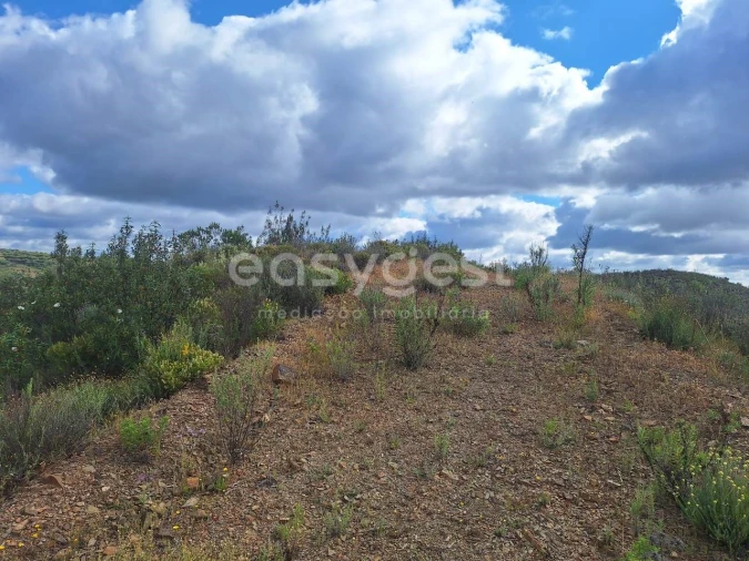 Terreno Agricola ou Rústico para Venda em Castro Marim Foto 8