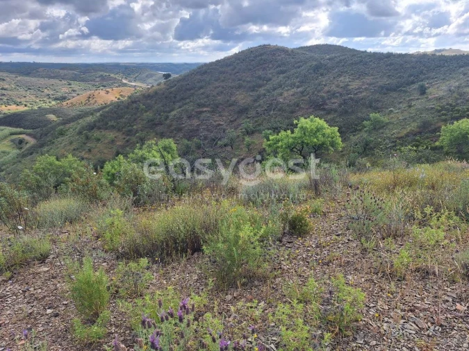 Terreno Agricola ou Rústico para Venda em Castro Marim Foto 9