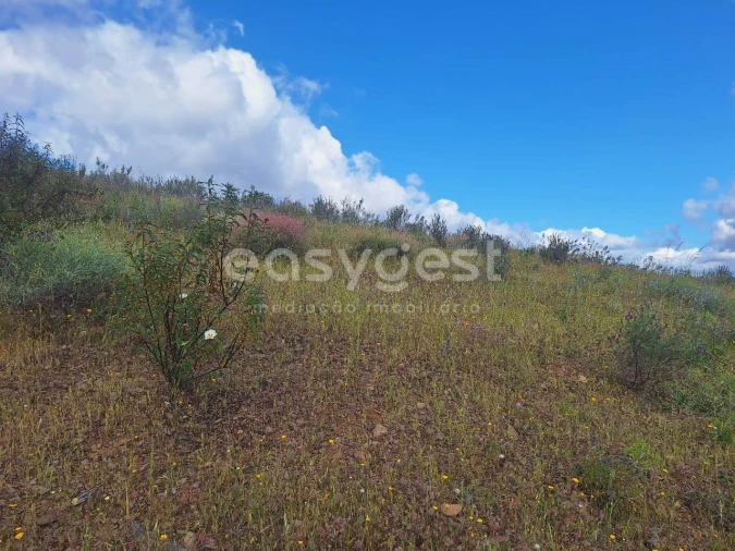 Terreno Agricola ou Rústico para Venda em Castro Marim Foto 10