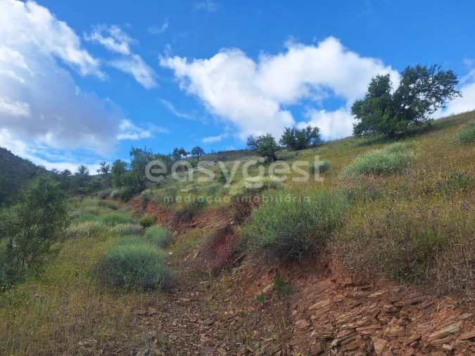 Terreno Agricola ou Rústico para Venda em Castro Marim Foto 12