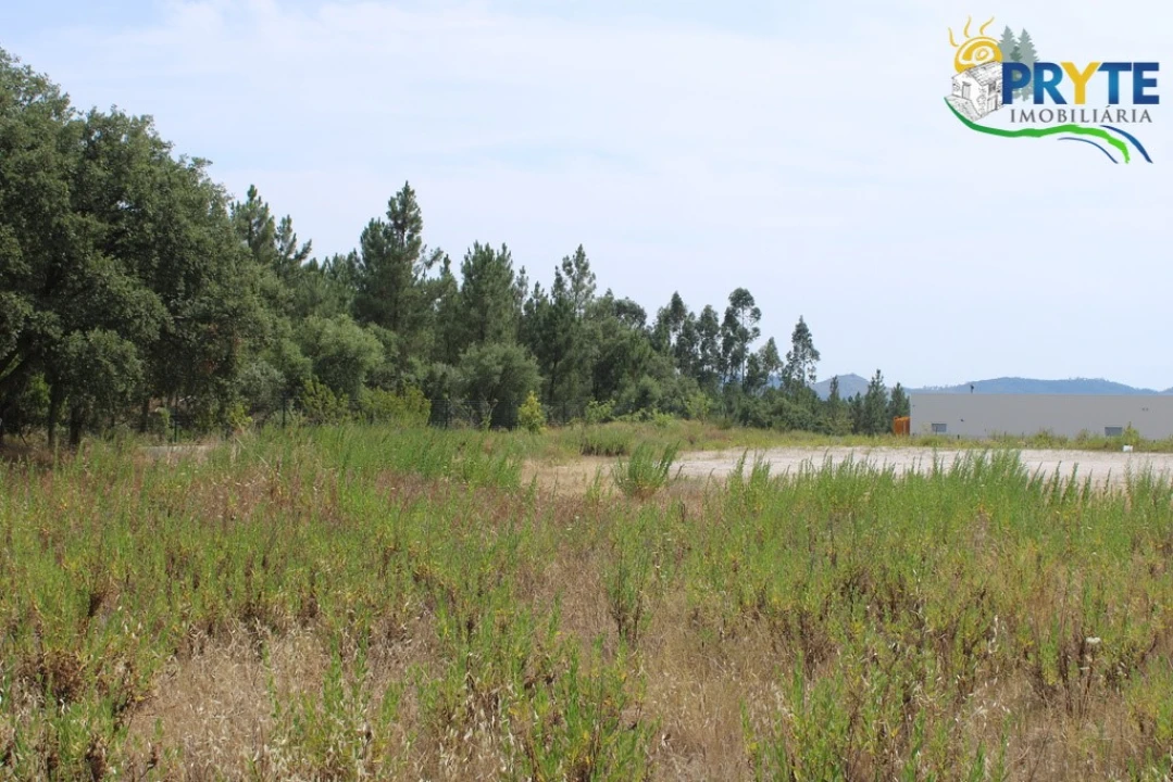Terreno Comércio / Armazém para Venda em Cardigos Foto 10
