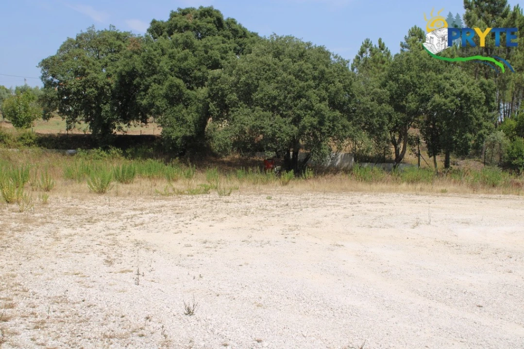 Terreno Comércio / Armazém para Venda em Cardigos Foto 11