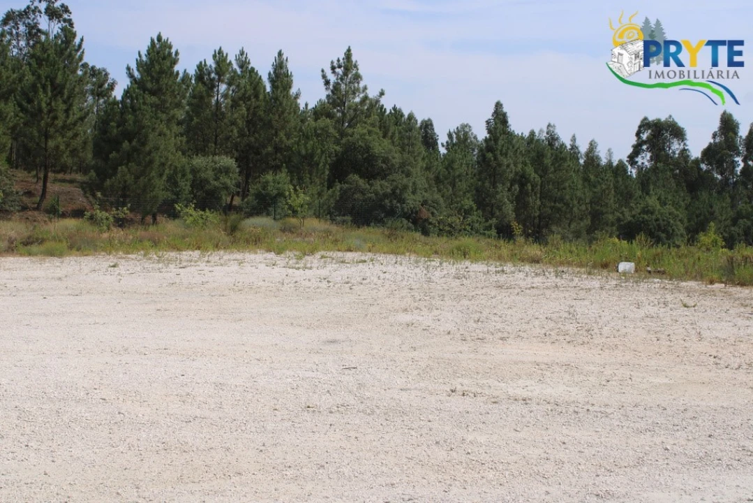 Terreno Comércio / Armazém para Venda em Cardigos Foto 12
