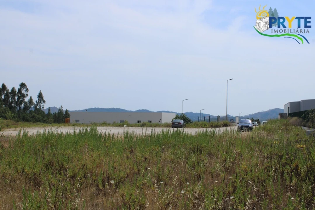 Terreno Comércio / Armazém para Venda em Cardigos Foto 13