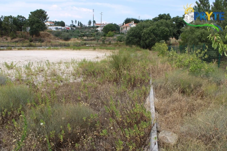 Terreno Comércio / Armazém para Venda em Cardigos Foto 3