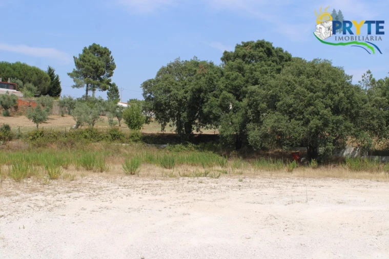 Terreno Comércio / Armazém para Venda em Cardigos Foto 6