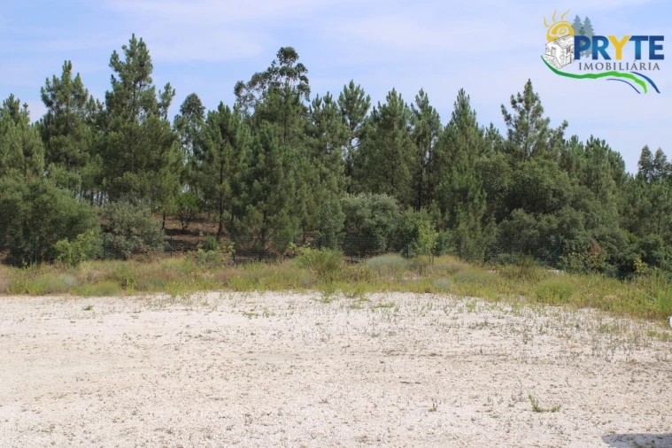 Terreno Comércio / Armazém para Venda em Cardigos Foto 7