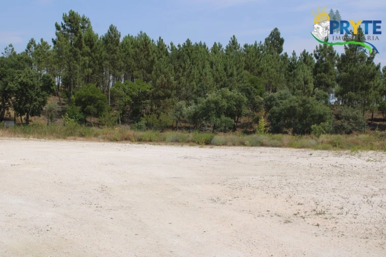 Terreno Comércio / Armazém para Venda em Cardigos Foto 9