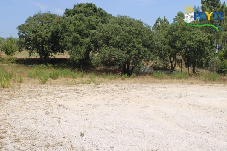 Terreno Comércio / Armazém para Venda em Cardigos Foto 11