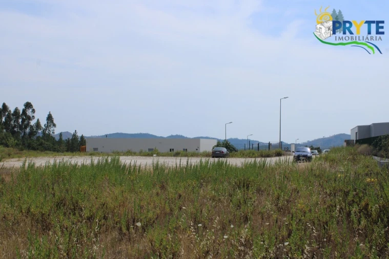 Terreno Comércio / Armazém para Venda em Cardigos Foto 13