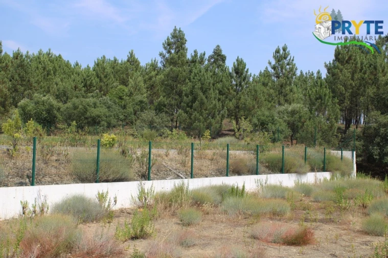 Terreno Comércio / Armazém para Venda em Cardigos Foto 19