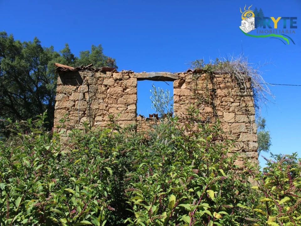 Quinta para Venda em Sertã Foto 4