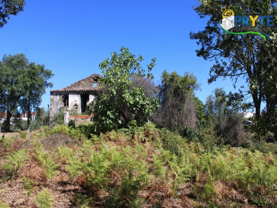 Quinta para Venda em Sertã Foto 8