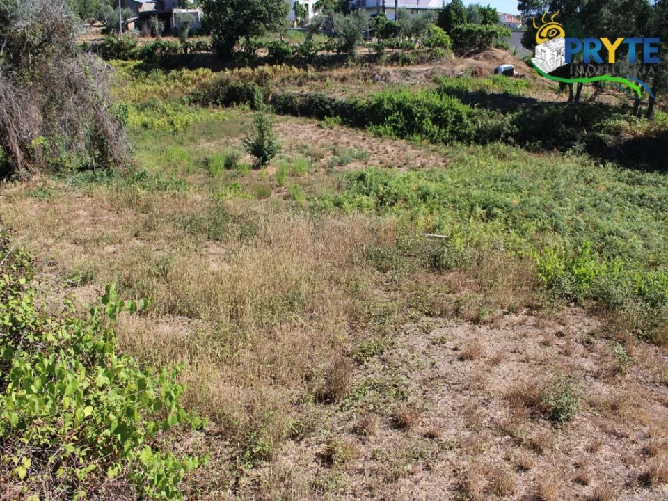 Quinta para Venda em Sertã Foto 12