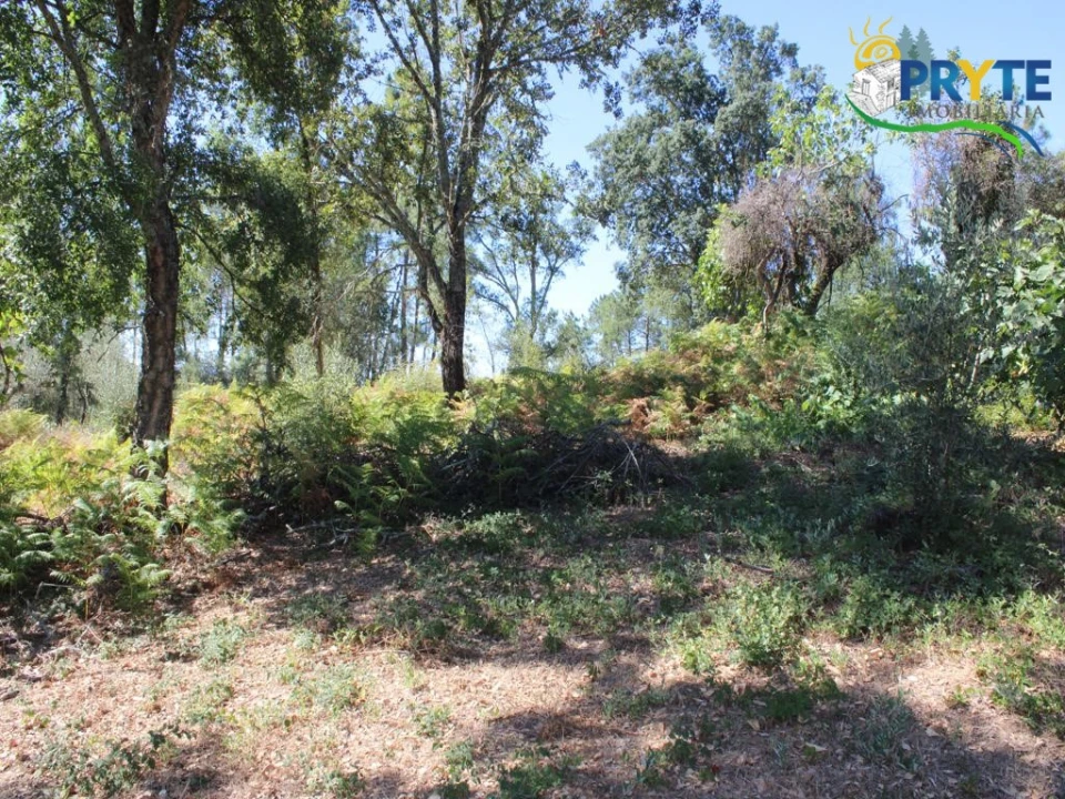 Quinta para Venda em Sertã Foto 13