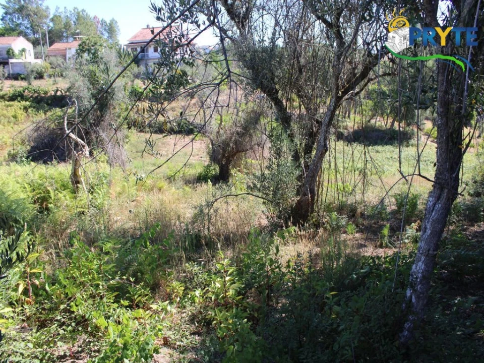 Quinta para Venda em Sertã Foto 17