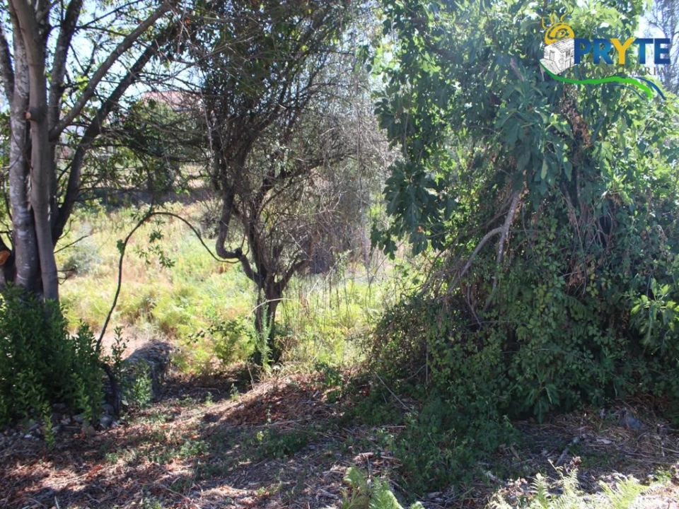 Quinta para Venda em Sertã Foto 18