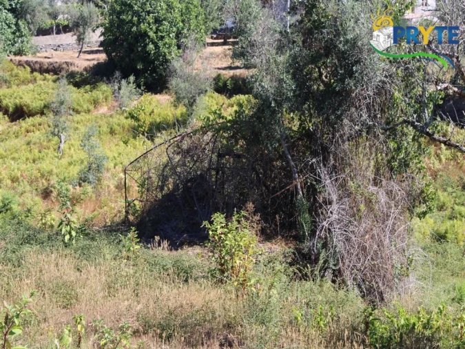 Quinta para Venda em Sertã Foto 9