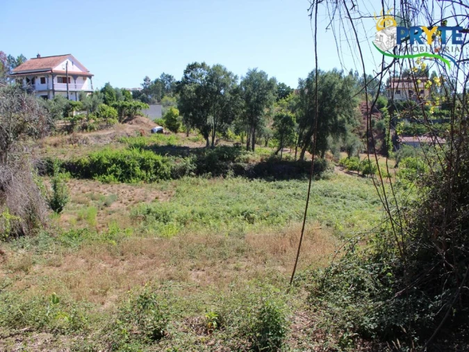 Quinta para Venda em Sertã Foto 14