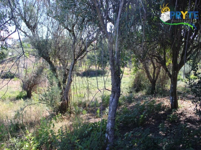 Quinta para Venda em Sertã Foto 16