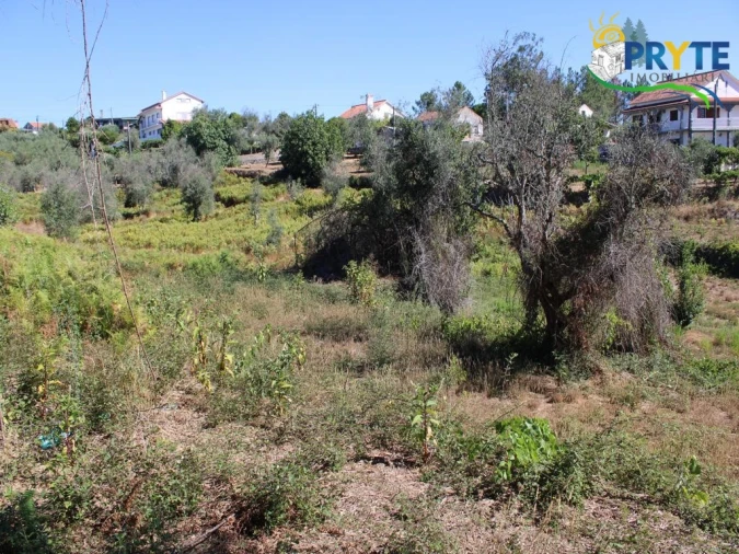 Quinta para Venda em Sertã Foto 20