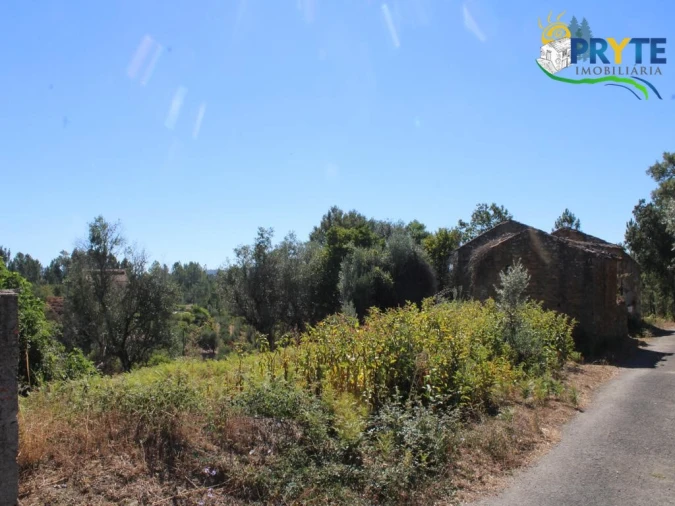 Quinta para Venda em Sertã Foto 21