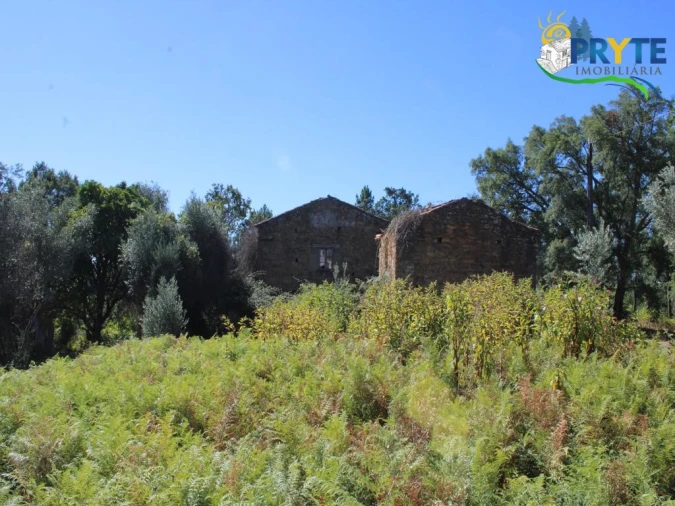 Quinta para Venda em Sertã Foto 22