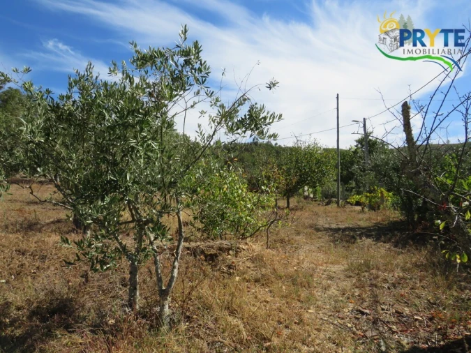 Terreno para Venda em Alvaro