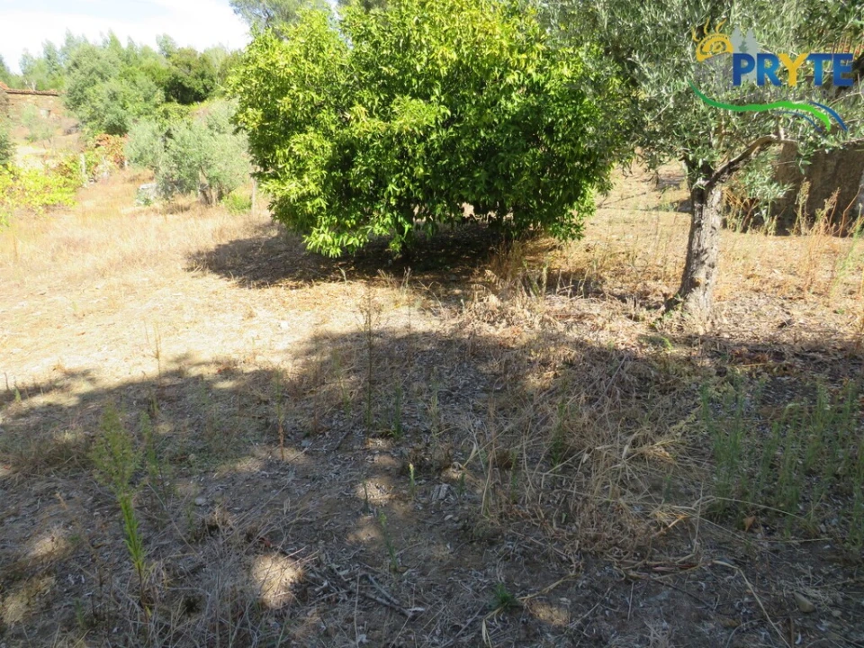 Moradia T2 para Venda em Alvaro Foto 21