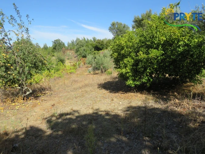 Moradia T2 para Venda em Alvaro Foto 20