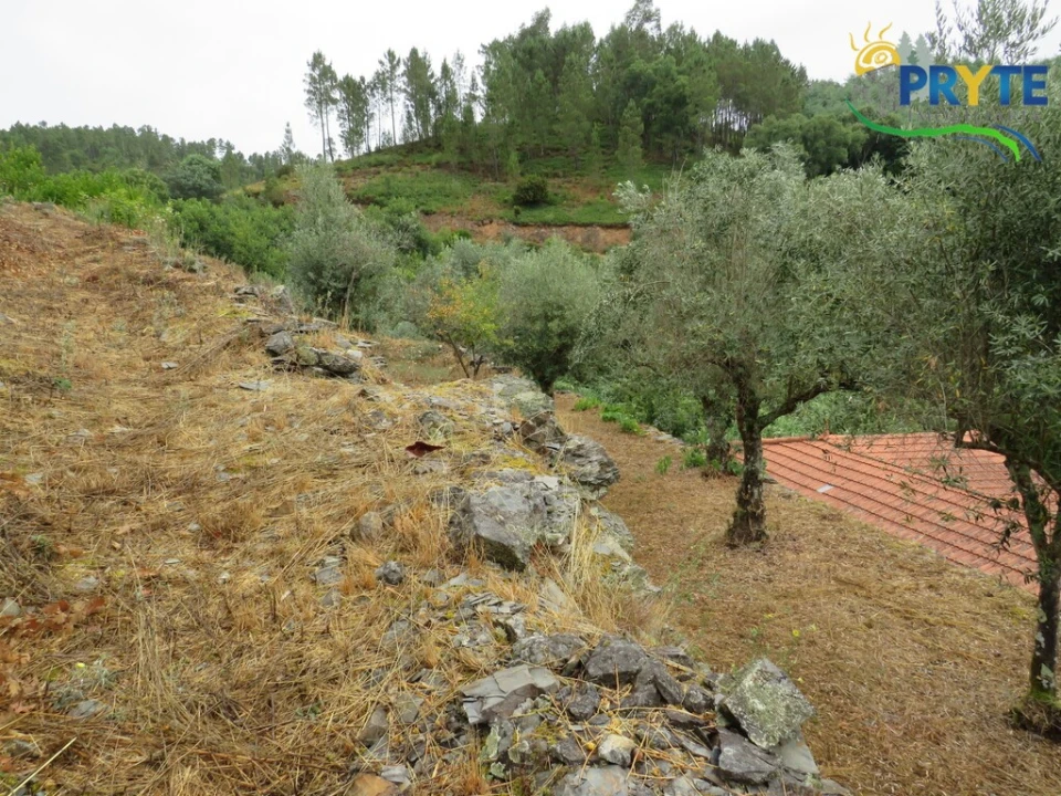 Moradia T4 para Venda em Sertã Foto 17