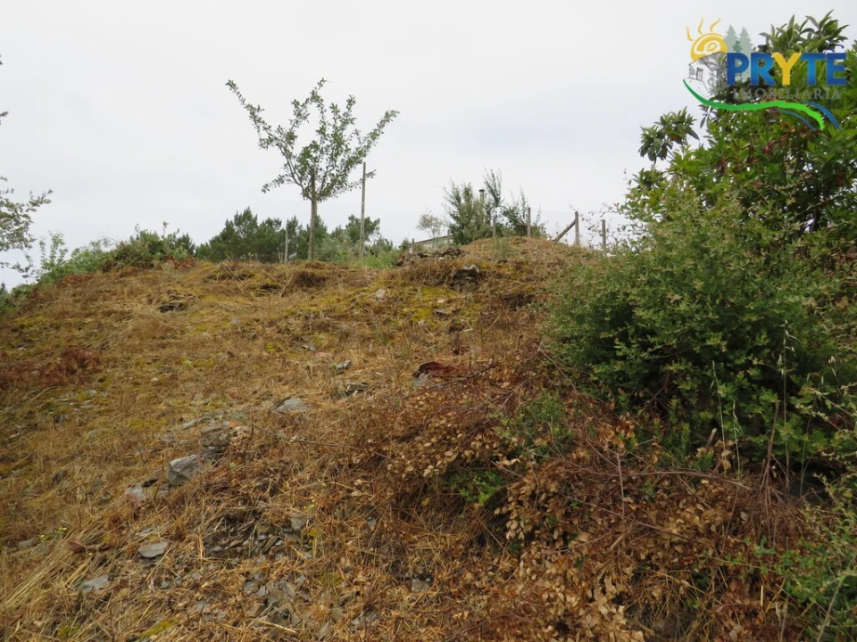 Moradia T4 para Venda em Sertã Foto 23