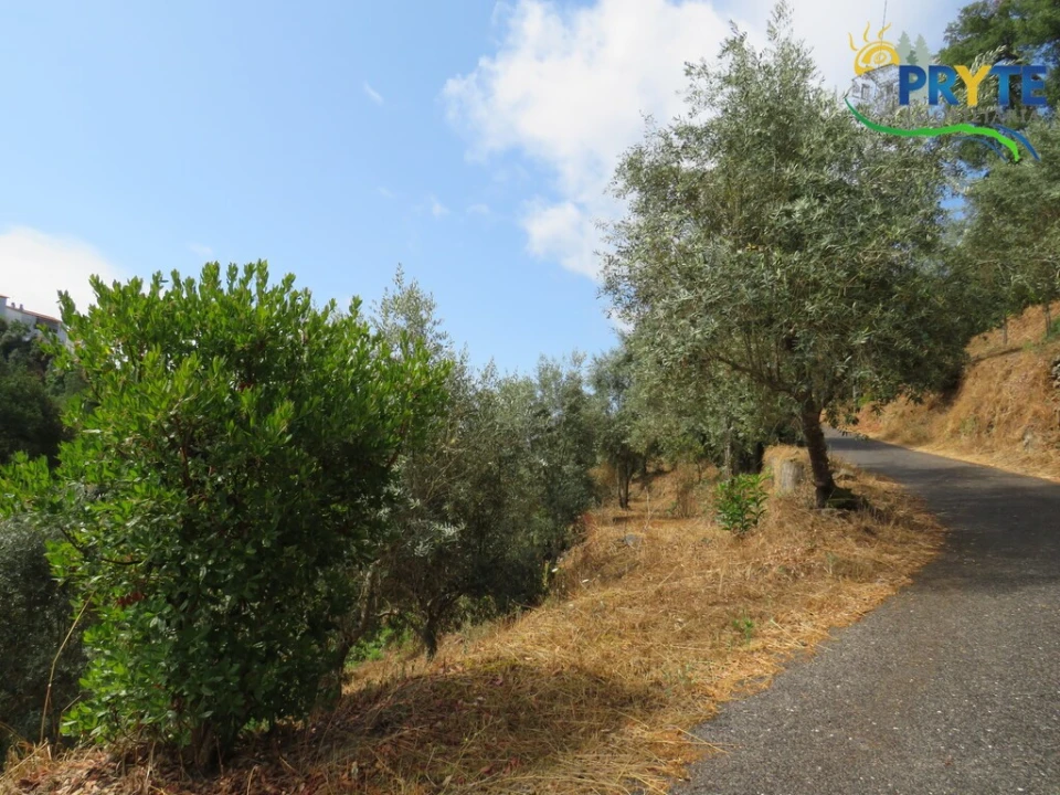 Moradia T4 para Venda em Sertã Foto 57