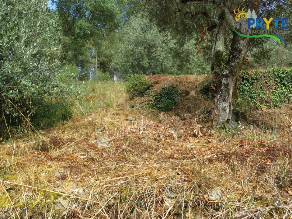 Moradia T4 para Venda em Sertã Foto 63