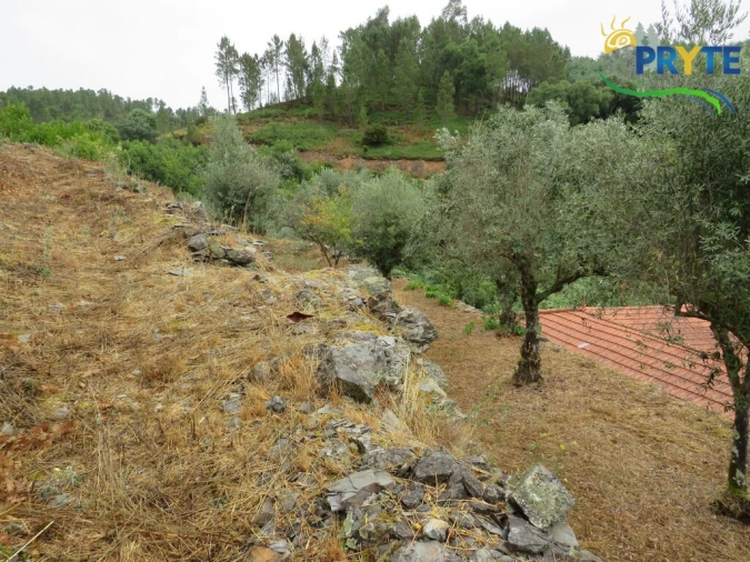 Moradia T4 para Venda em Sertã Foto 17