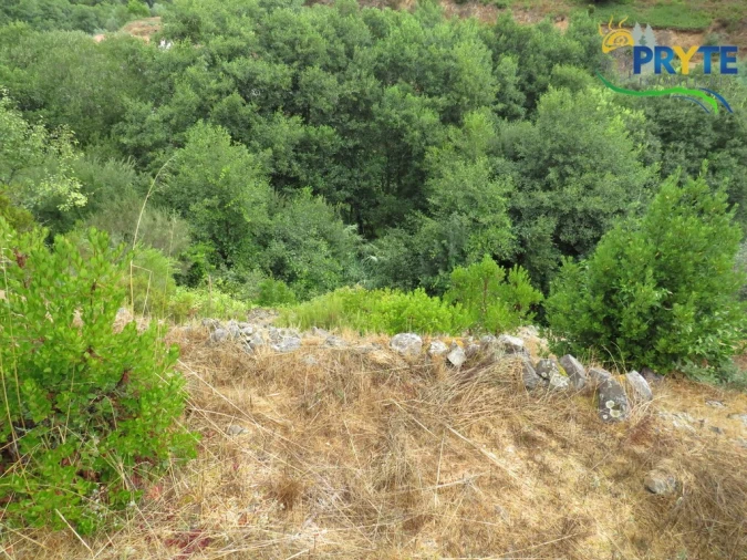 Moradia T4 para Venda em Sertã Foto 20