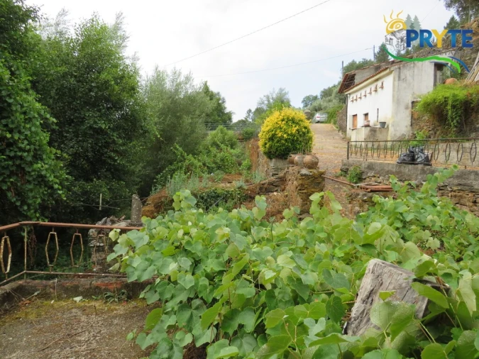 Moradia T4 para Venda em Sertã Foto 36