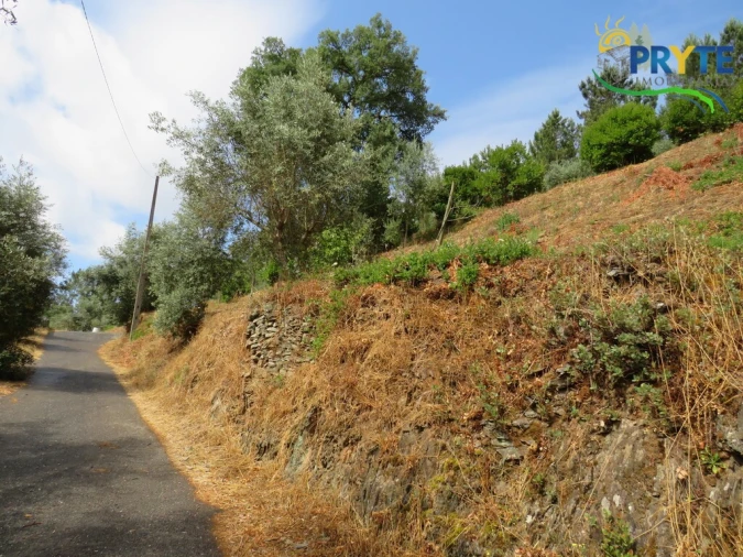 Moradia T4 para Venda em Sertã Foto 61