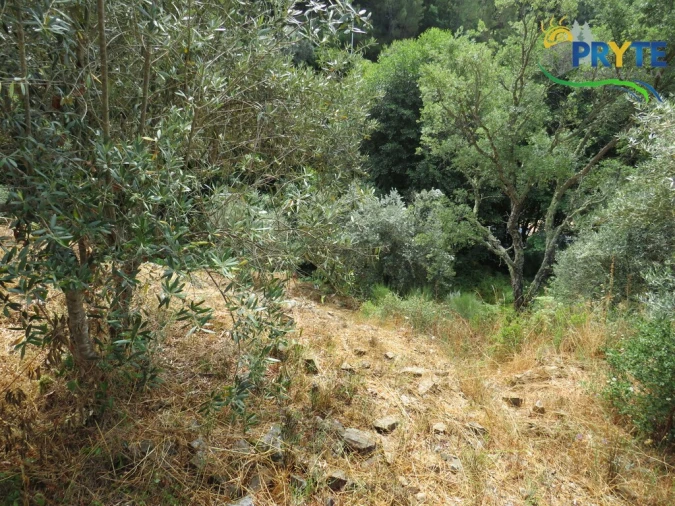 Moradia T4 para Venda em Sertã Foto 64