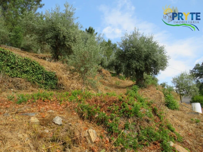 Moradia T4 para Venda em Sertã Foto 65